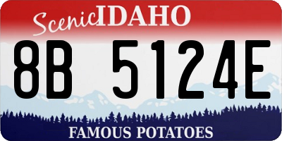 ID license plate 8B5124E
