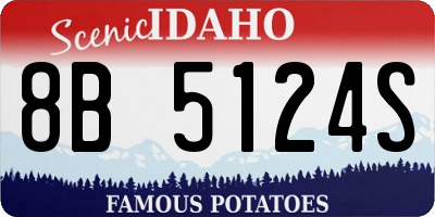 ID license plate 8B5124S