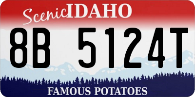 ID license plate 8B5124T