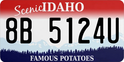 ID license plate 8B5124U