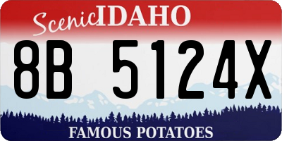 ID license plate 8B5124X