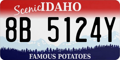 ID license plate 8B5124Y