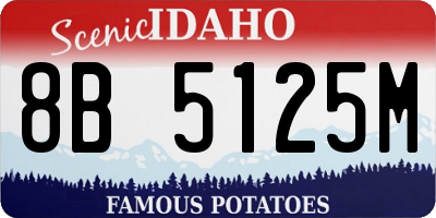 ID license plate 8B5125M