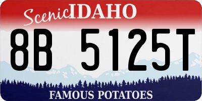 ID license plate 8B5125T