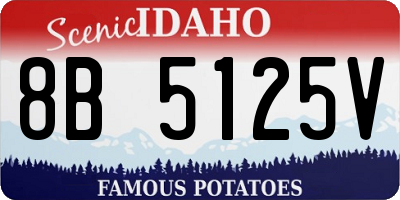 ID license plate 8B5125V