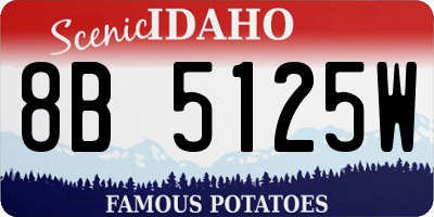 ID license plate 8B5125W