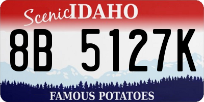 ID license plate 8B5127K