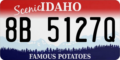 ID license plate 8B5127Q
