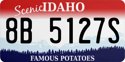 ID license plate 8B5127S