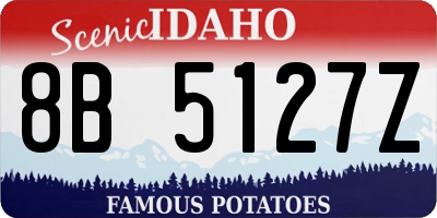 ID license plate 8B5127Z