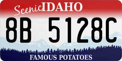 ID license plate 8B5128C