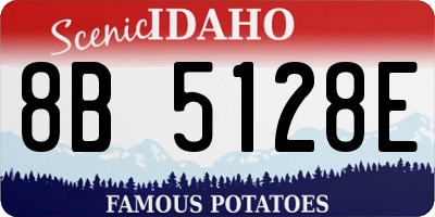 ID license plate 8B5128E
