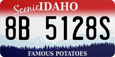ID license plate 8B5128S