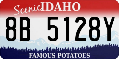 ID license plate 8B5128Y