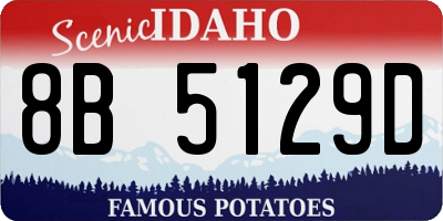 ID license plate 8B5129D