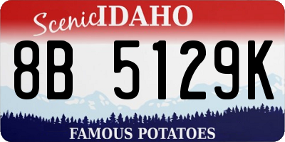 ID license plate 8B5129K