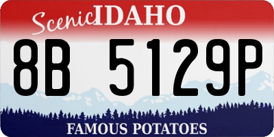 ID license plate 8B5129P