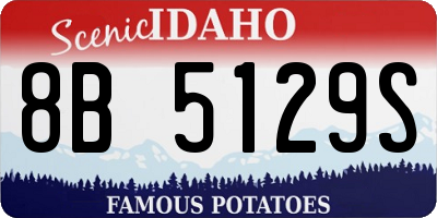 ID license plate 8B5129S