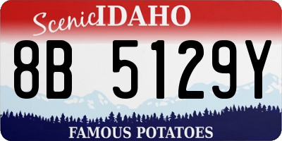 ID license plate 8B5129Y