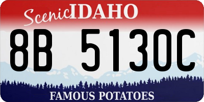 ID license plate 8B5130C