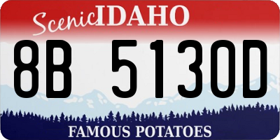 ID license plate 8B5130D