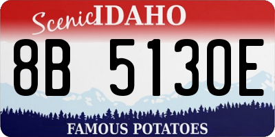 ID license plate 8B5130E