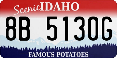 ID license plate 8B5130G