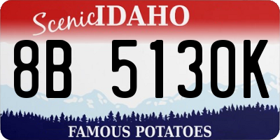 ID license plate 8B5130K