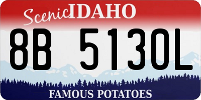 ID license plate 8B5130L
