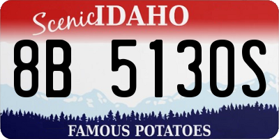 ID license plate 8B5130S