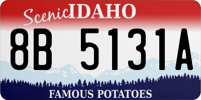 ID license plate 8B5131A