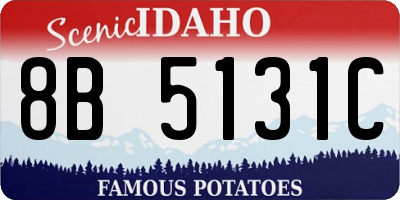 ID license plate 8B5131C