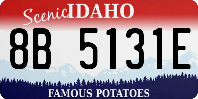 ID license plate 8B5131E