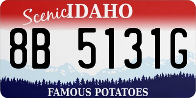 ID license plate 8B5131G