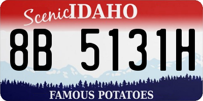 ID license plate 8B5131H