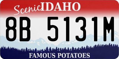 ID license plate 8B5131M