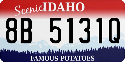 ID license plate 8B5131Q
