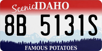 ID license plate 8B5131S