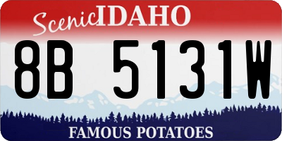 ID license plate 8B5131W