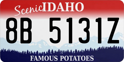 ID license plate 8B5131Z