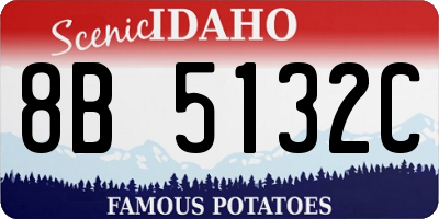 ID license plate 8B5132C