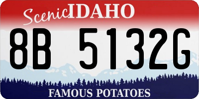 ID license plate 8B5132G