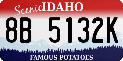 ID license plate 8B5132K