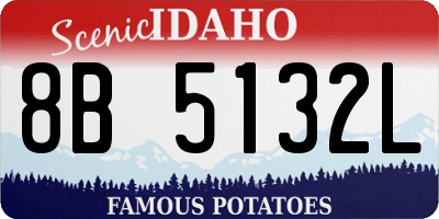 ID license plate 8B5132L