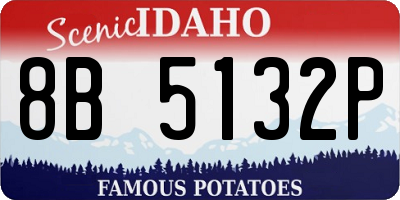 ID license plate 8B5132P