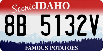 ID license plate 8B5132V