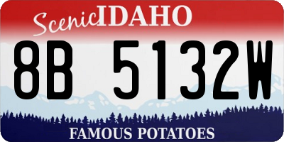ID license plate 8B5132W