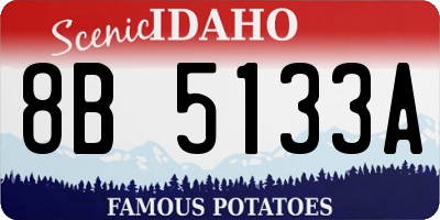 ID license plate 8B5133A