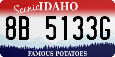 ID license plate 8B5133G