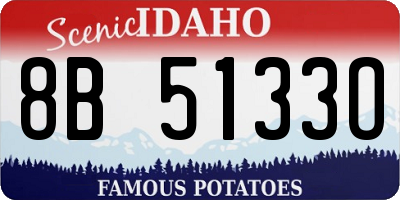 ID license plate 8B5133O